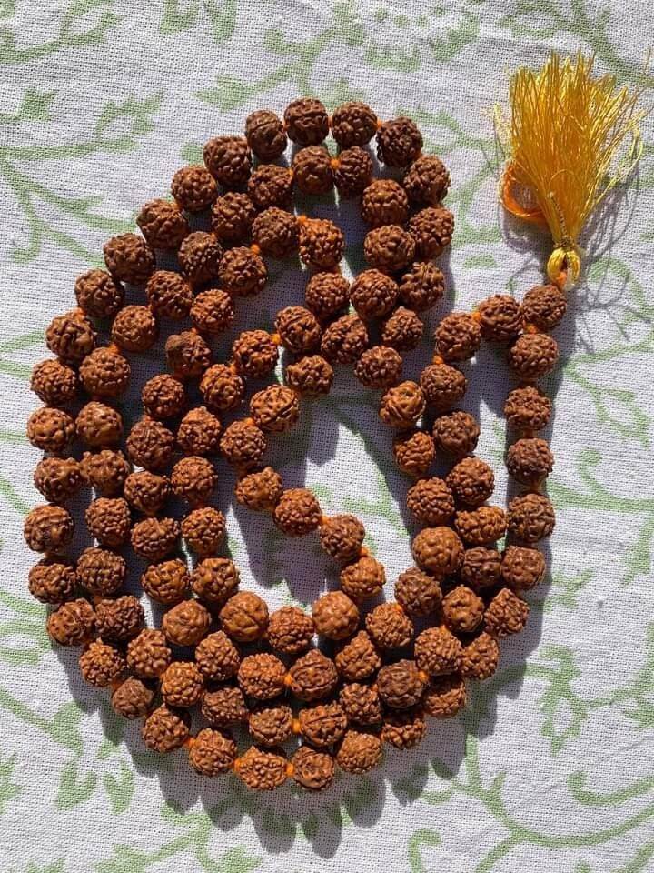 Rudraksha Mala (108+1 Beads, Bead Size: 12 mm each)